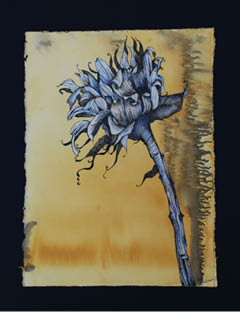 Cheri_Buxman_Single_Sunflower_2.jpg