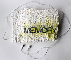 s_arden_hill_interactionmemory1.jpg