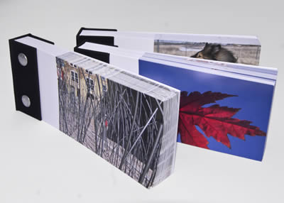 Louise Levergneux flip books